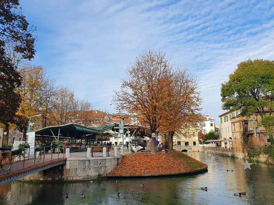 Autumn trees and market stalls on a small island surrounded by canal