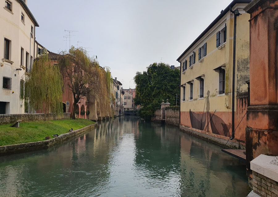 View of a canal in the town centre of Treviso, with a weeping willow and a painted fisherman on a house wall